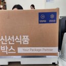 이안더치 이미지