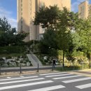 도담동_도담고등학교 | [세종 도담동] 도램 15단지 힐스테이트 임장후기