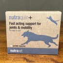 티어하임 동물병원 이미지