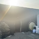 영일 | 서울근교 김포 딸기 따기 체험 아기랑 다녀온 영일딸기농장 후기