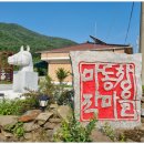 이홍원농장 네이버블로그