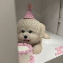 롱이네 과자점 이미지