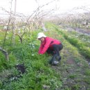 화창농원 이미지