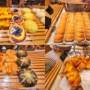 델리까뜨제과점 이미지