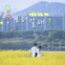 화개자동차서비스 이미지