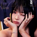 하니영