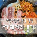 싸돼지의품격 이미지