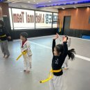 한국체대 국가대표 태권도 | 어린이 태권도, 기본기와 인성을 함께 차분히 다져주길 바란다면 '한국체대 국가대표 태권도장'