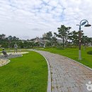 45 이미지