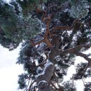 초당동-3 이미지