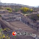 김영종농장 이미지