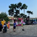 용인미르스타디움 이미지