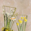 플라워 디자인_꽃꽂이 이미지