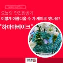 하마마베이크 | 아 이거 진짜 예쁘다 라는 말이 먼저 나온 중랑구 레터링 생화 케이크 맛집 : 하마마베이크