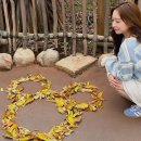 [도쿄] 디즈니씨 어트랙션 10개 뿌수고 온 레전드 후기 !