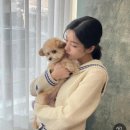 송정동-23 | [성수 카페] 권은비 카페 금은방 🐕☕️ 송정동 느좋카페 추천 후기