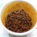 마미치킨 이미지