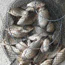 연안낚시터 이미지