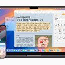 애플 이미지