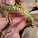 유하일식 이미지