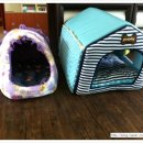 써리 독 이미지