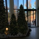 푸라닭평택포승점 | 천안 핑크뮬리 있는 대형베이커리카페 핀스커피