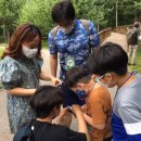 숲으로 떠나는 힐링 여행 이미지