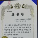 한국청소년지도위원회