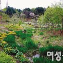 평강식물원 이미지
