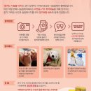 참치사랑 이미지