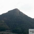 돈대지 - 평택시 | 돈대지