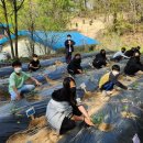 심천초등학교 이미지