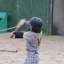 제주남초등학교 이미지