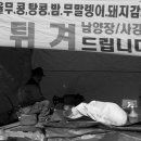 남양장 이미지