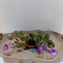 타우르스 이미지