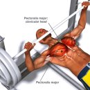 프레스집 이미지