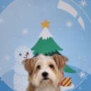 하울팟 위례점 이미지