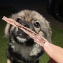 똘멍이네 이미지