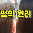 전주시스템시스템옴므 이미지