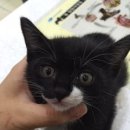 홍익동물병원 이미지