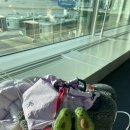 대한(아) | [괌 여행] 1월에 아이랑 떠난 괌여행 1일차 후기(ft.두짓비치, 타씨그릴, 야시장)