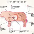 백천R 이미지