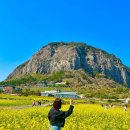 여명목장2 이미지