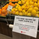 장씨비닐