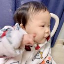삼촌이모과일 이미지