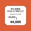 조앤헤어 네이버블로그