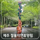 절물자연휴양림 | 제주 중산간 절물자연휴양림 숲길 산책 코스 및 숲속의집 예약