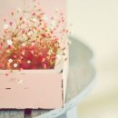 링스토리 이미지