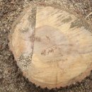 은평-029 이미지