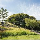 흑염소목장 이미지